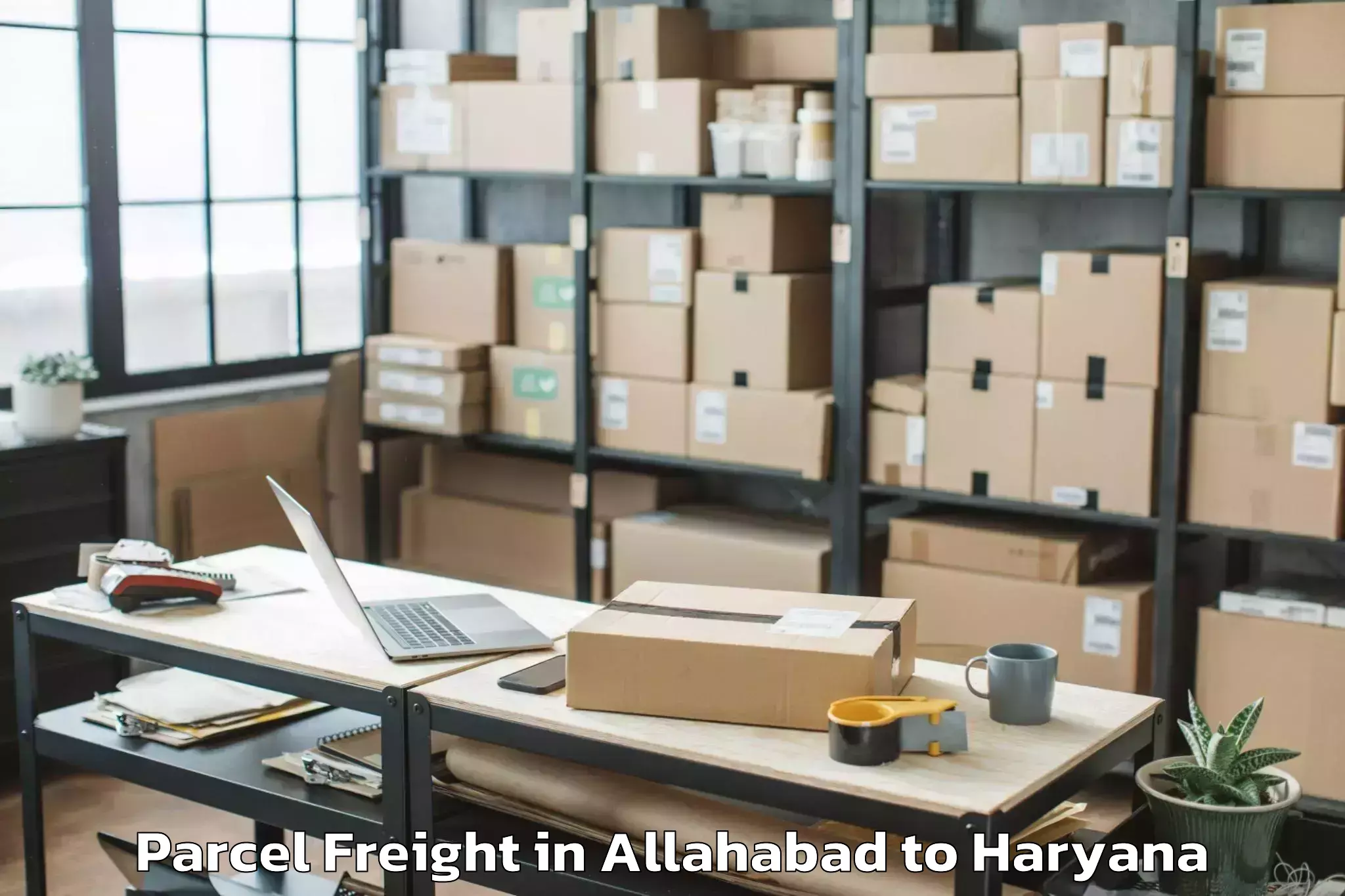 Professional Allahabad to Manav Rachna University Farida Parcel Freight